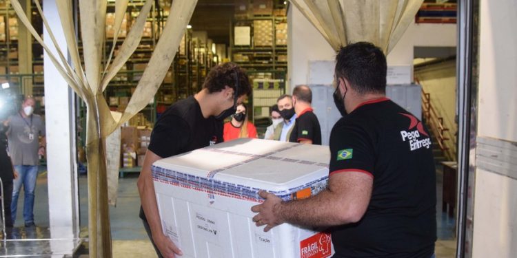 Covid-19: Mais 242 mil doses de vacina chegam ao Paraná