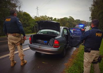 PRF apreende cocaína, maconha e crack durante o fim de semana no Paraná