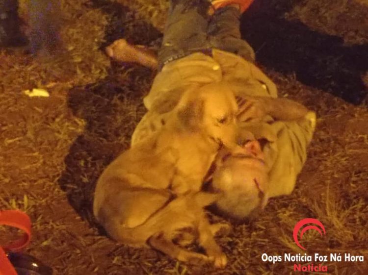 Profundo amor: cachorrinho se recusa deixar dono atropelado na BR-277 em Foz