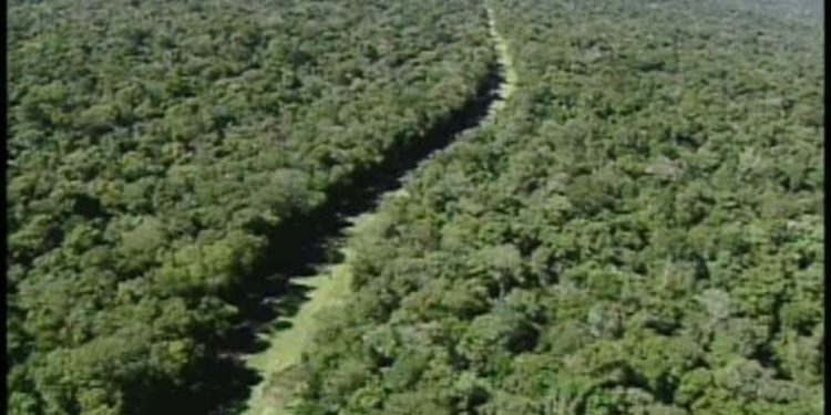 Contraponto debateu projeto que poderá reabrir ‘Estrada do Colono’