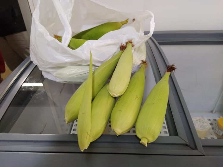 Com furtos, Colégio Agrícola coloca produção de milho à venda para a comunidade