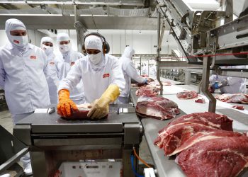 Grupo investe R$ 170 milhões em centro de processamento de alimentos no Paraná