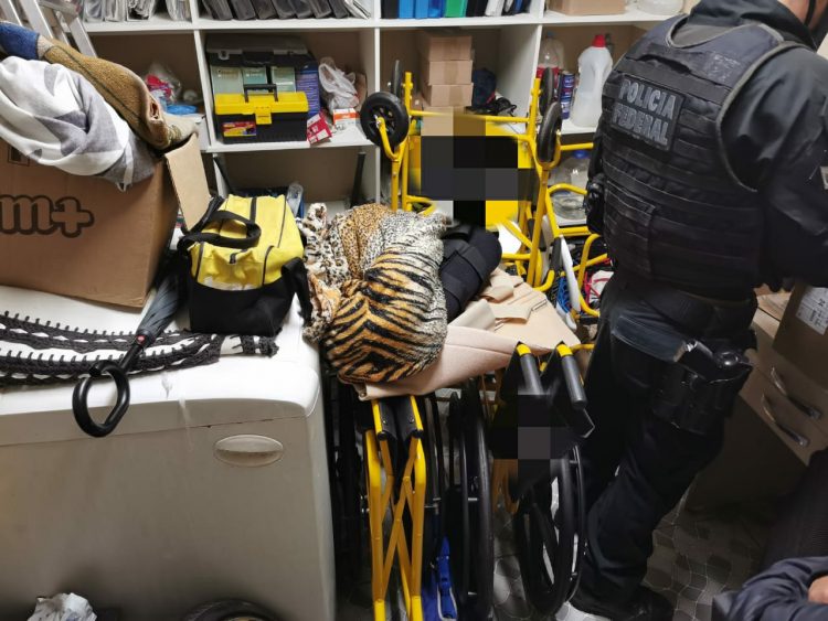 Polícia Federal deflagra operação de combate à fraude eleitoral em Pinhais