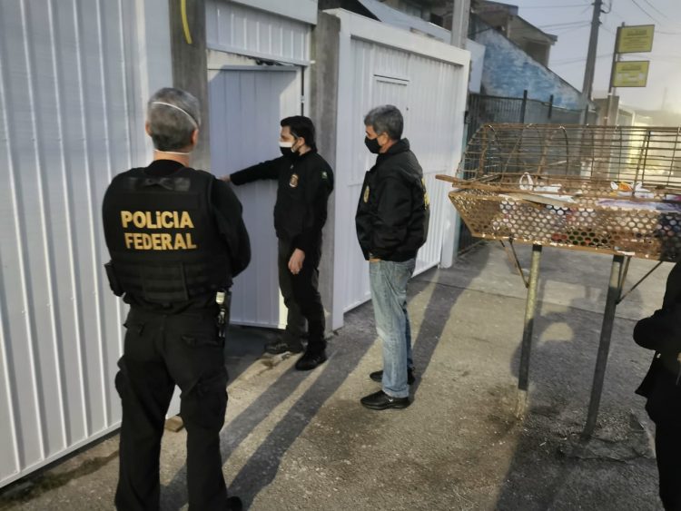 Polícia Federal deflagra operação de combate à fraude eleitoral em Pinhais