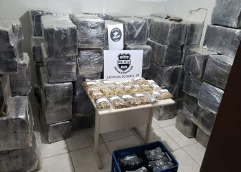 São Miguel: Denarc apreende duas toneladas de maconha e carregadores de fuzil na BR 277