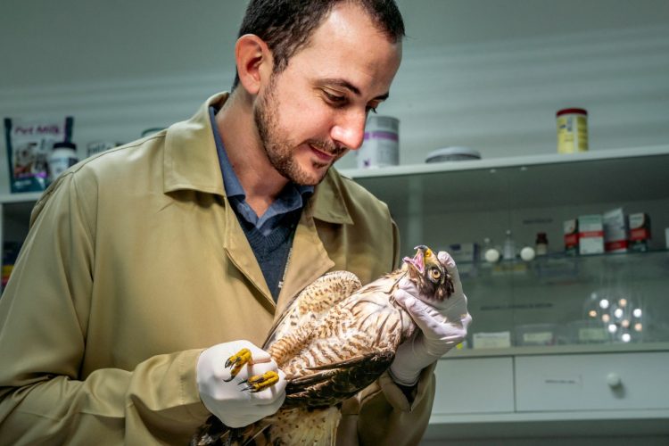 Seminário virtual reúne mais de 350 jovens para debater biodiversidade e restauração florestal