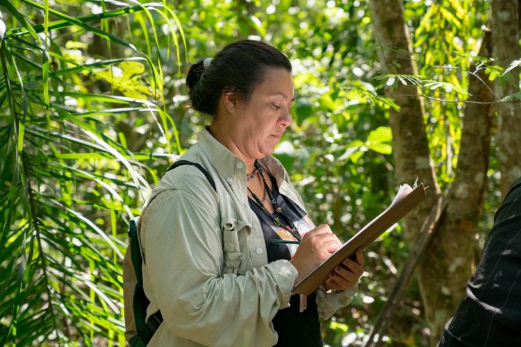 Seminário virtual reúne mais de 350 jovens para debater biodiversidade e restauração florestal