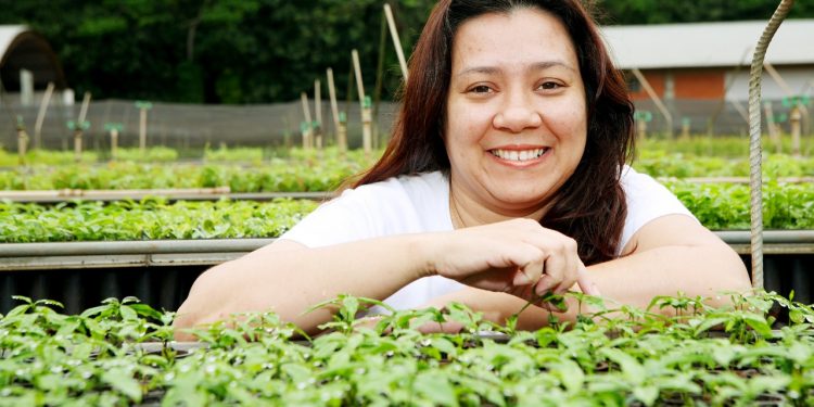 Seminário virtual reúne mais de 350 jovens para debater biodiversidade e restauração florestal