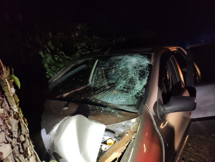 Em duas ocorrências, PRF apreende 261 Kg de maconha após fuga e acompanhamento tático na BR-277