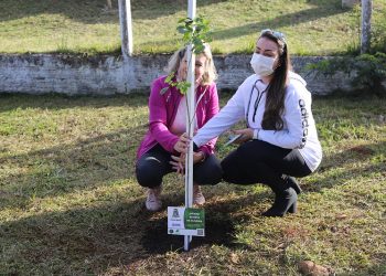 Vítimas da Covid-19 são homenageadas com plantio de árvores no Parque Remador