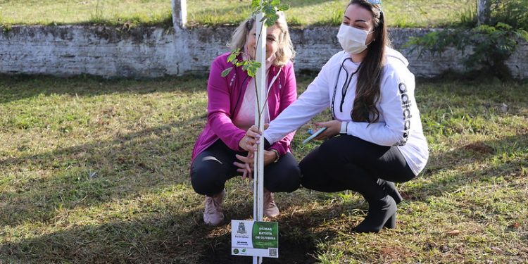 Vítimas da Covid-19 são homenageadas com plantio de árvores no Parque Remador