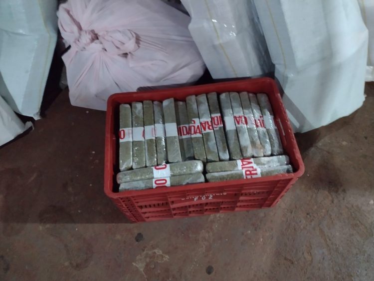 Homem é preso pela PM com quase uma tonelada de maconha no Condomínio Grande Lago