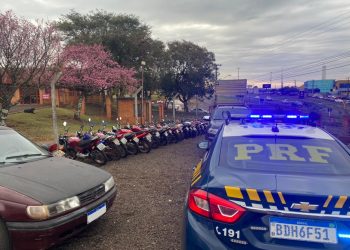 PRF realiza o 1º leilão de 2021 com quase 800 veículos recolhidos na região de Curitiba