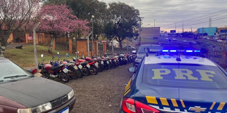 PRF realiza o 1º leilão de 2021 com quase 800 veículos recolhidos na região de Curitiba