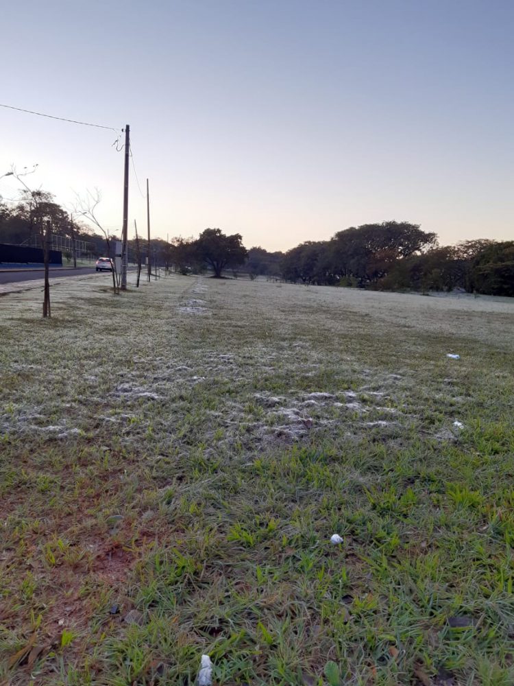 Dia mais frio do ano em Foz registra temperatura negativa na madrugada desta terça, 29