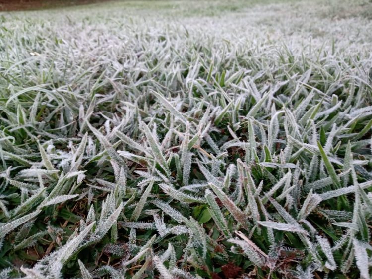 Dia mais frio do ano em Foz registra temperatura negativa na madrugada desta terça, 29