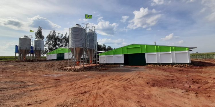 Prefeitura incentiva a instalação de novos aviários em Foz do Iguaçu