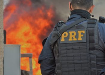 PRF e PF incineram mais de duas toneladas de drogas no Paraná