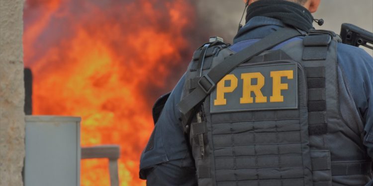 PRF e PF incineram mais de duas toneladas de drogas no Paraná