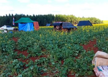 Invasões de terras voltam a preocupar autoridades do Paraguai