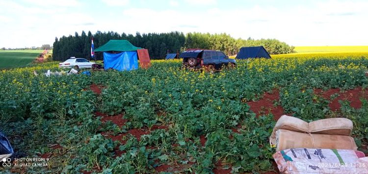 Invasões de terras voltam a preocupar autoridades do Paraguai