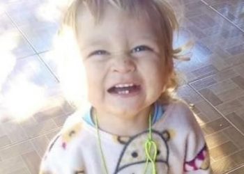 Sudoeste: Bebê de 1 anos e 8 meses morre após ser picado por escorpião