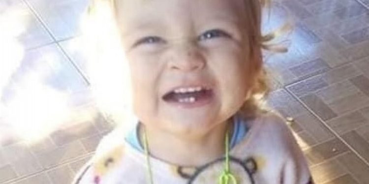 Sudoeste: Bebê de 1 anos e 8 meses morre após ser picado por escorpião
