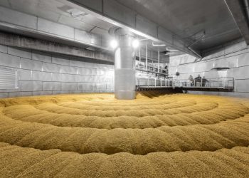 Cidade do Paraná vai receber investimento de R$ 3 Bilhões para construção de fábrica de malte