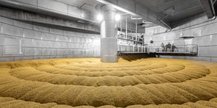 Cidade do Paraná vai receber investimento de R$ 3 Bilhões para construção de fábrica de malte