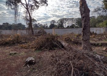 Cemitério do Jardim São Paulo contará com gavetário com 12 mil espaços