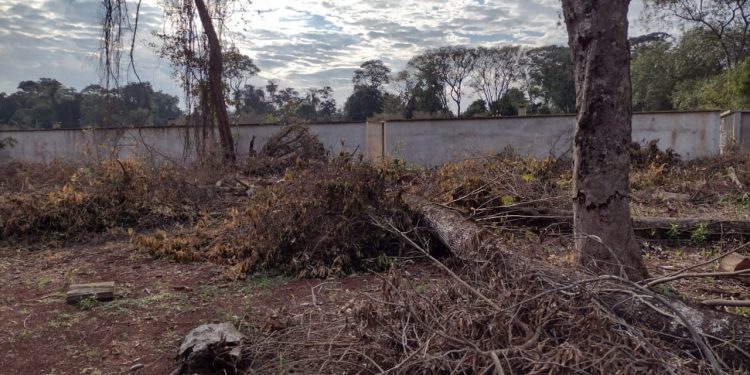 Cemitério do Jardim São Paulo contará com gavetário com 12 mil espaços