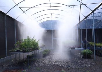 Horto Municipal reabrirá as portas ao público na próxima semana