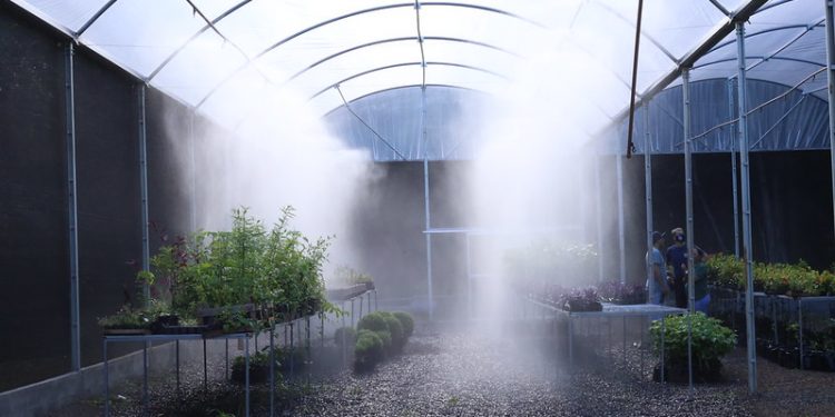 Horto Municipal reabrirá as portas ao público na próxima semana