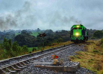 Concessão ou privatização? Entenda o modelo de desestatização da Nova Ferroeste
