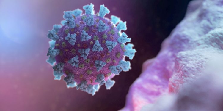 Estudo: anticorpos de quem teve covid-19 não protegem contra variante