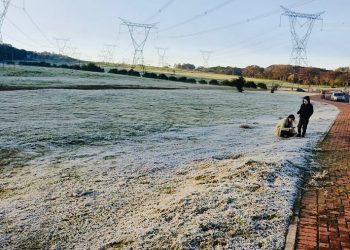 Defesa Civil do Paraná emite nota sobre onda de frio que atinge sul nesta semana