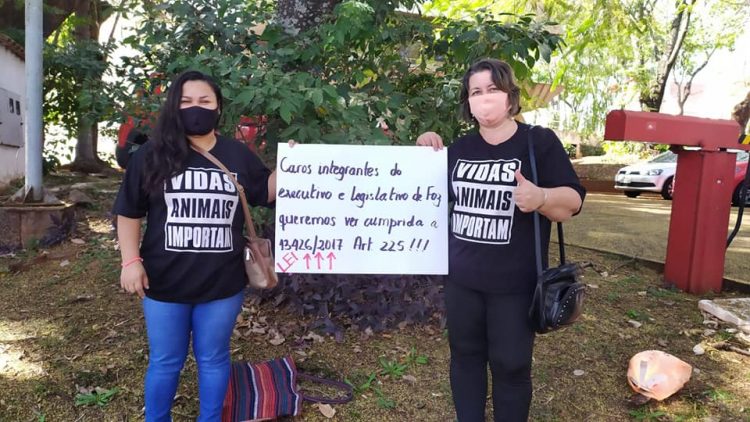Protetores pedem que prefeitura libere verba destinada à ração e castração de animais em Foz do Iguaçu