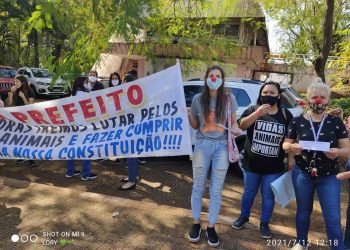 Protetores pedem que prefeitura libere verba destinada à ração e castração de animais em Foz do Iguaçu
