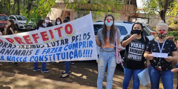 Protetores pedem que prefeitura libere verba destinada à ração e castração de animais em Foz do Iguaçu