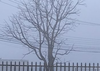 Frio irá se intensificar nos próximos dias