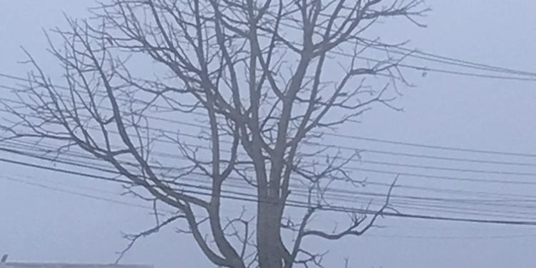 Frio irá se intensificar nos próximos dias