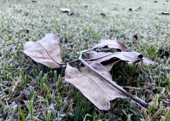 Meteorologistas prevêem mais três frentes frias para agosto
