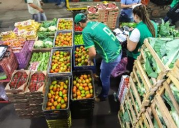 Alimentos no Ceasa de Foz do Iguaçu tiveram aumento de 200% após geada