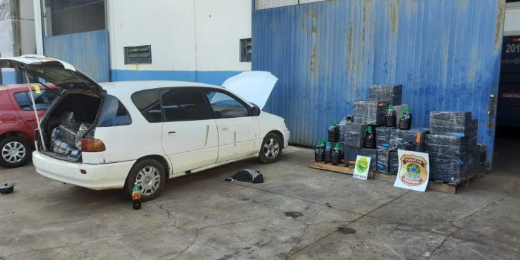 Azeite e vinho em situação irregular são apreendidos em Foz do Iguaçu