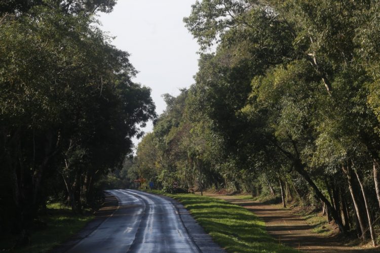 Parque Nacional do Iguaçu lança aplicativo de trilhas
