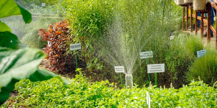 Escola Internacional para Sustentabilidade, iniciativa da Itaipu e do PTI, lança dois novos cursos