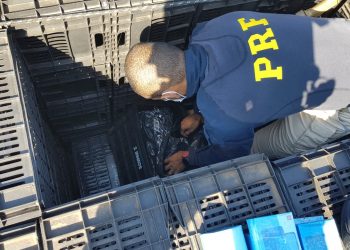 PRF apreende eletrônicos ocultos em caminhão de tomates.