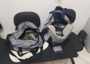 17 kg de haxixe são apreendidos pela Polícia Civil