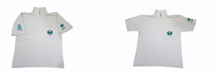 CCZ alerta que vídeo em que ladrões se passaram por agentes de endemias não é de Foz