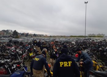 PRF e Detran-PR realizam operação Pátio Limpo